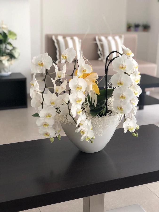 Hotel Carmen Riccione Dış mekan fotoğraf